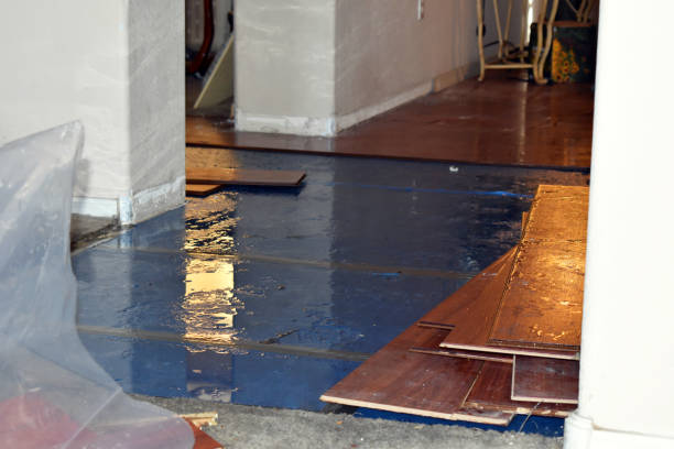 Professional Water Damage Restoration technician working in Irondale, MO